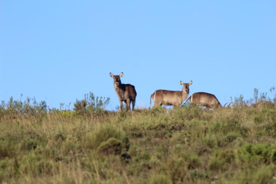  Bedroom Property for Sale in Mossel Bay Rural Western Cape